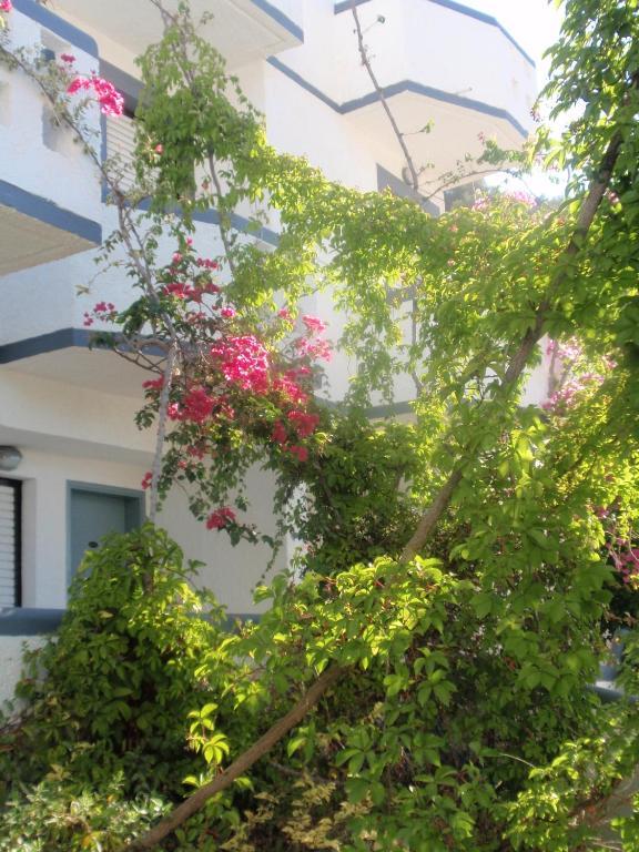 Fevro Hotel Agia Galini Zimmer foto